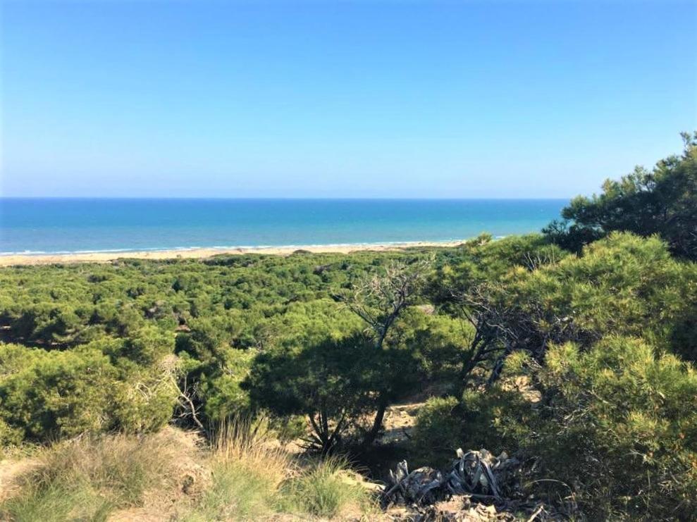 Casa Jirafa Con La Vista Villa Gran Alacant Eksteriør bilde
